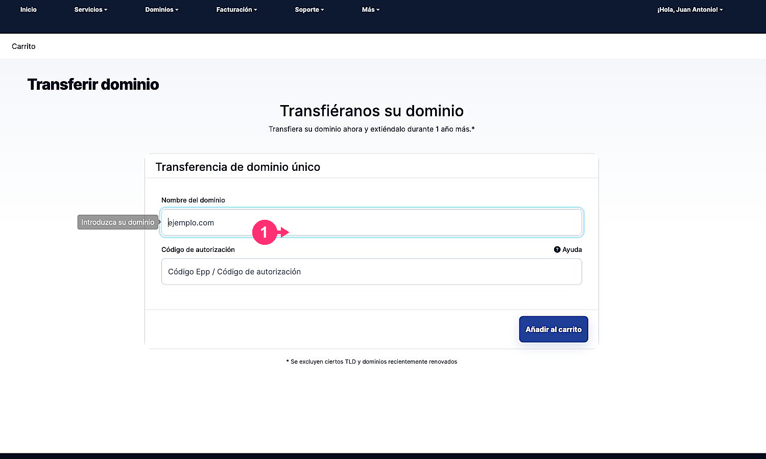 Formulário atual para iniciar uma transferência de domínio