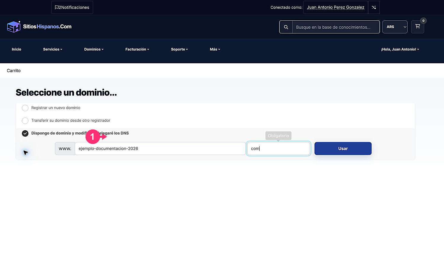 Selección de un dominio existente para delegar sus DNS